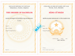 mẫu bằng cư nhân năm 2020 toàn quốc